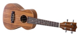 volt ukulele milano concerto